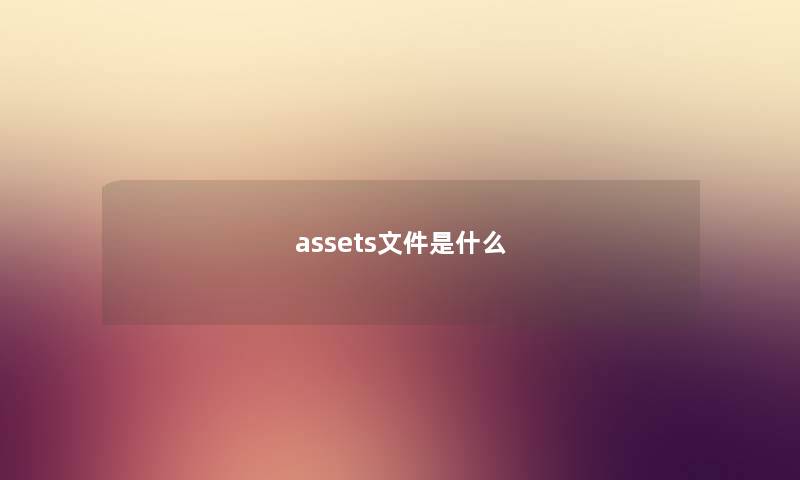 assets文件是什么