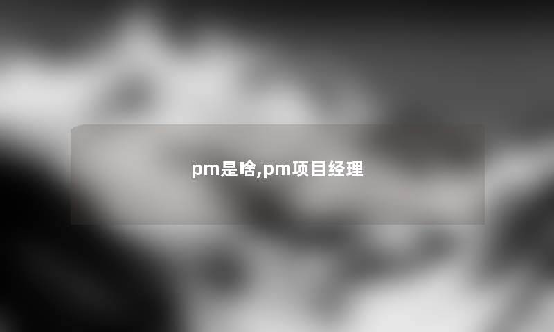 pm是啥,pm项目经理