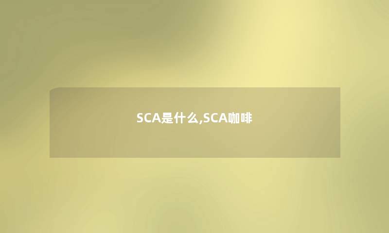 SCA是什么,SCA咖啡