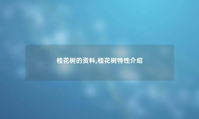 桂花树的资料,桂花树特性介绍