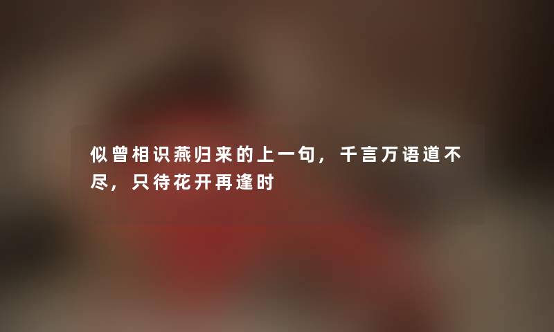 似曾相识燕归来的上一句,千言万语道不尽,只待花开再逢时