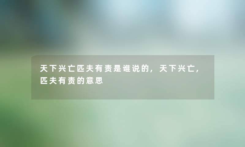 天下兴亡匹夫有责是谁说的,天下兴亡,匹夫有责的意思