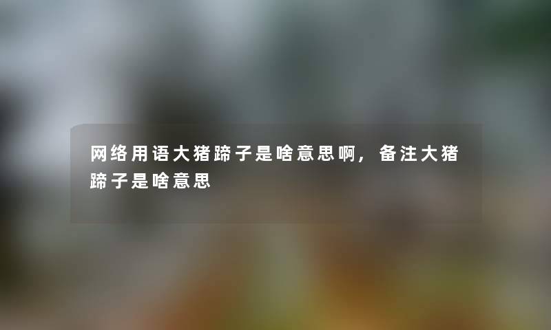 网络用语大猪蹄子是啥意思啊,备注大猪蹄子是啥意思