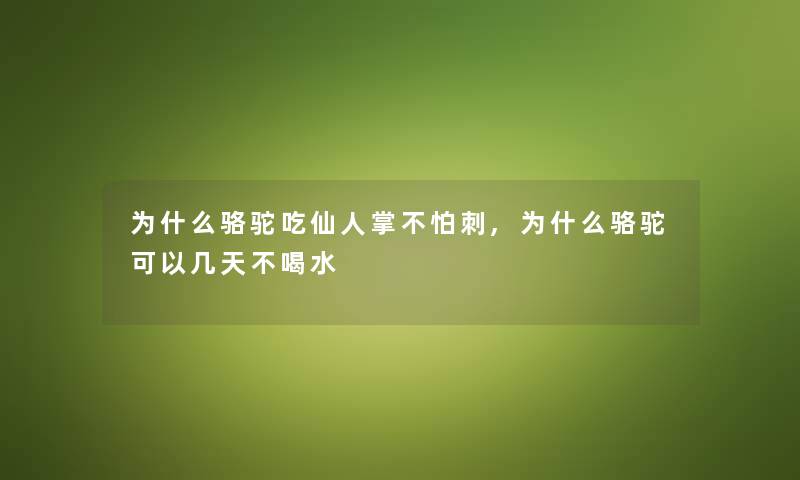 为什么骆驼吃仙人掌不怕刺,为什么骆驼可以几天不喝水