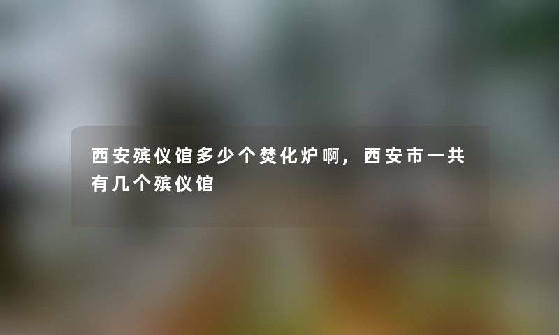 西安殡仪馆多少个焚化炉啊,西安市一共有几个殡仪馆