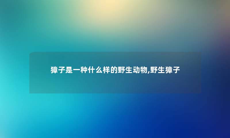 獐子是一种什么样的野生动物,野生獐子