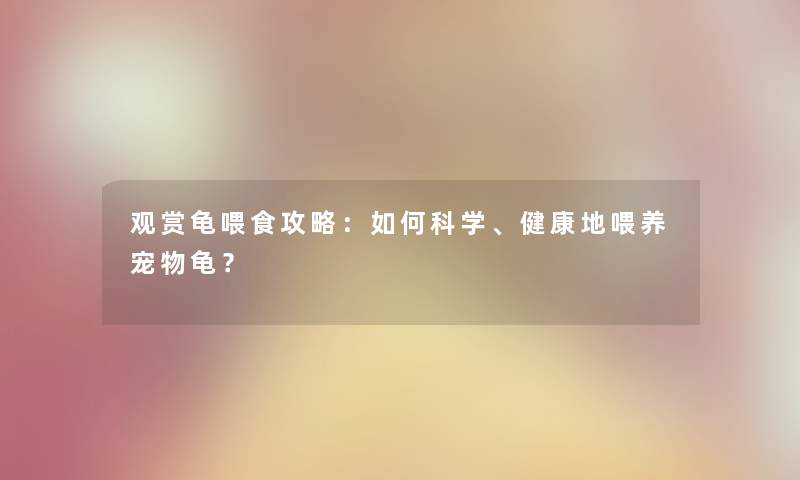 观赏龟喂食攻略：如何科学、健康地喂养宠物龟？