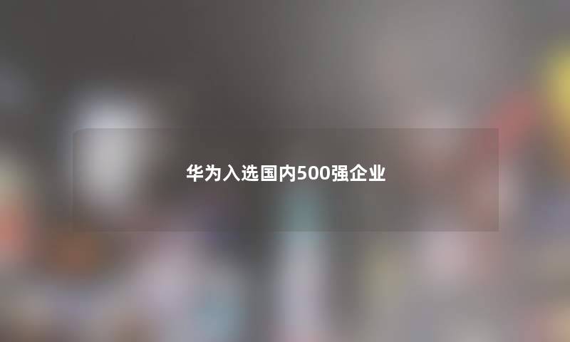 华为入选国内500强企业