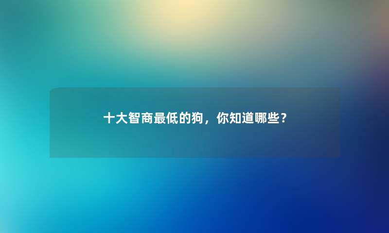 一些智商低的狗，你知道哪些？