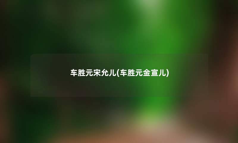 车胜元宋允儿(车胜元金宣儿)