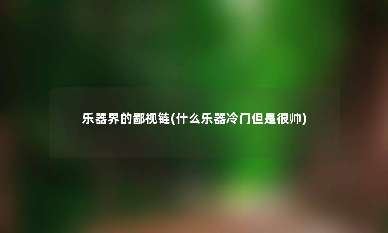 乐器界的鄙视链(什么乐器冷门但是很帅)