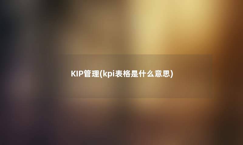 KIP管理(kpi表格是什么意思)