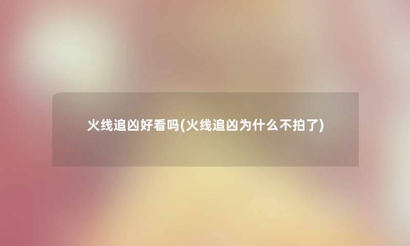 火线追凶好看吗(火线追凶为什么不拍了)