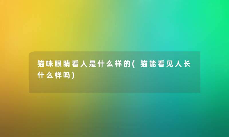 猫咪眼睛看人是什么样的(猫能看见人长什么样吗)