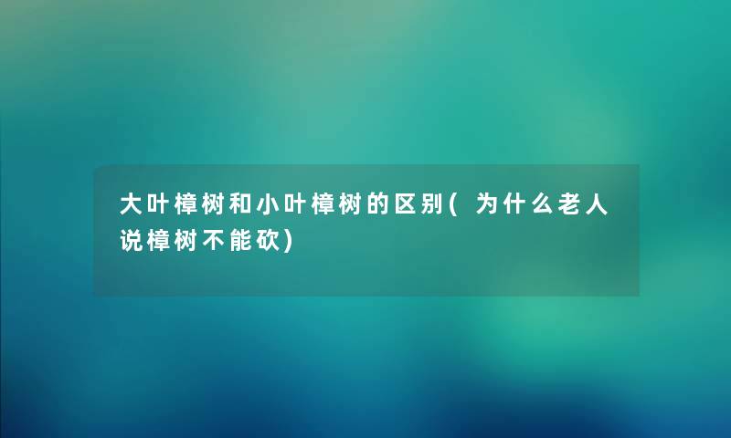 大叶樟树和小叶樟树的区别(为什么老人说樟树不能砍)