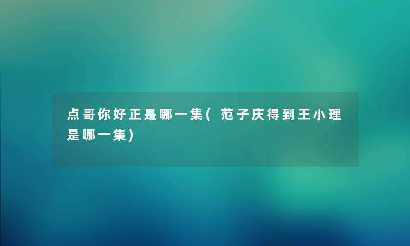 点哥你好正是哪一集(范子庆得到王小理是哪一集)