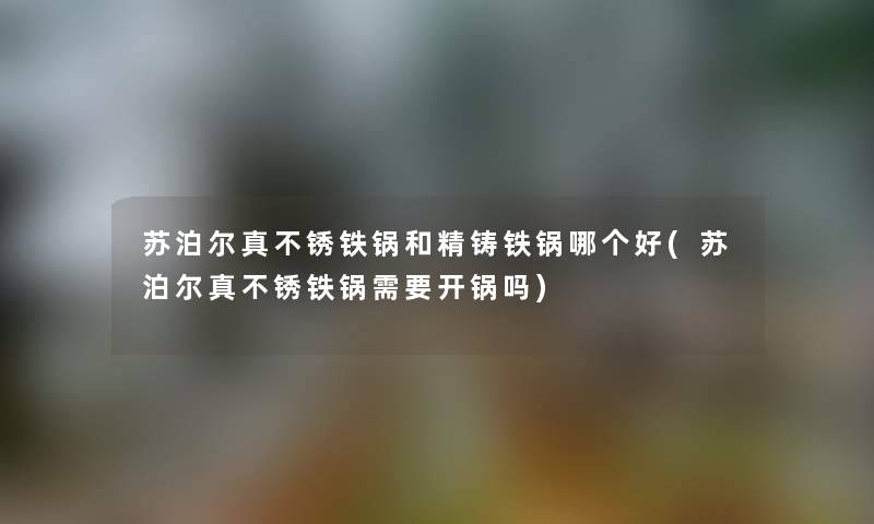 苏泊尔真不锈铁锅和精铸铁锅哪个好(苏泊尔真不锈铁锅需要开锅吗)