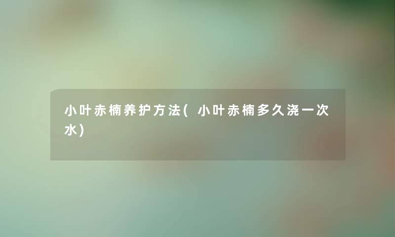 小叶赤楠养护方法(小叶赤楠多久浇一次水)