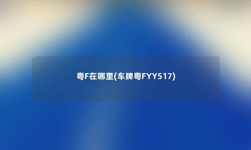 粤F在哪里(车牌粤FYY517)