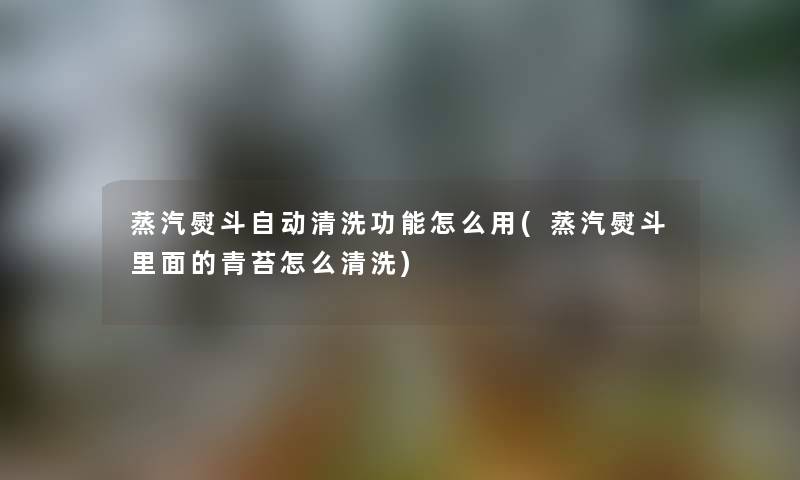 蒸汽熨斗自动清洗功能怎么用(蒸汽熨斗里面的青苔怎么清洗)