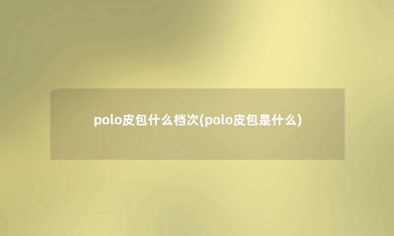 polo皮包什么档次(polo皮包是什么)