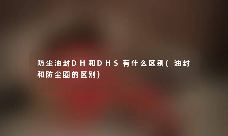 防尘油封DH和DHS有什么区别(油封和防尘圈的区别)