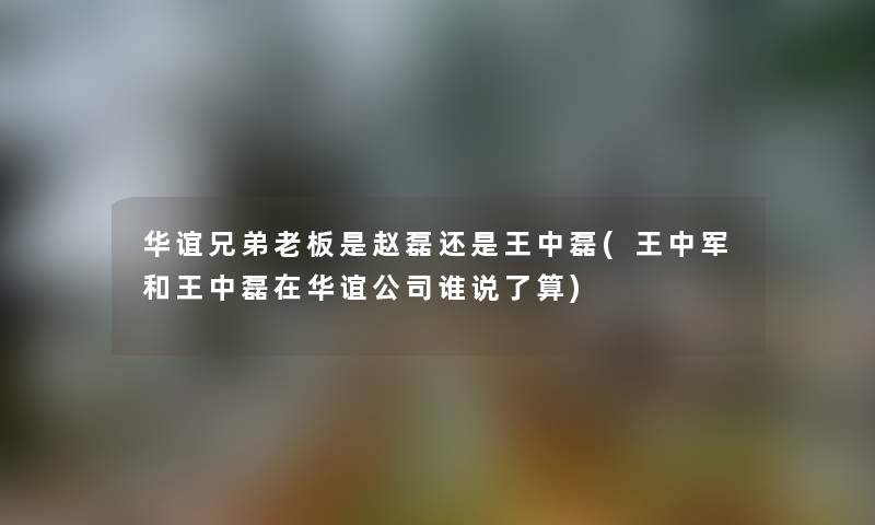 华谊兄弟老板是赵磊还是王中磊(王中军和王中磊在华谊公司谁说了算)