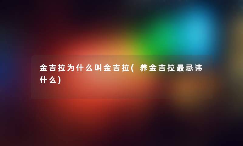 金吉拉为什么叫金吉拉(养金吉拉忌讳什么)