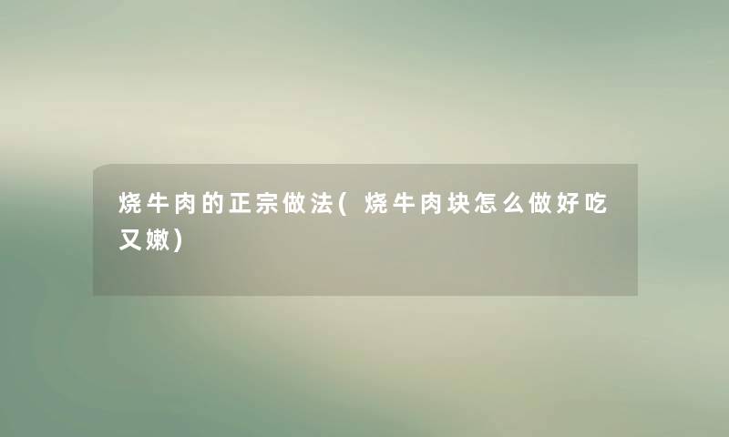 烧牛肉的正宗做法(烧牛肉块怎么做好吃又嫩)