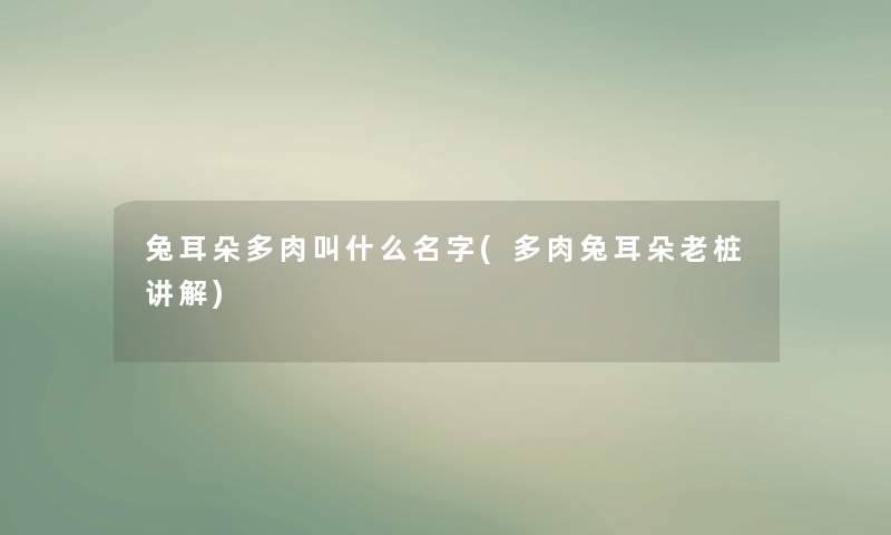 兔耳朵多肉叫什么名字(多肉兔耳朵老桩讲解)