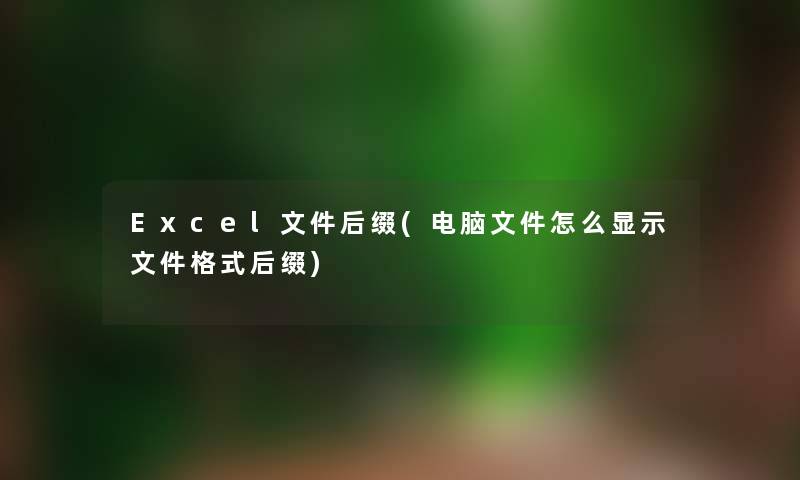 Excel文件后缀(电脑文件怎么显示文件格式后缀)