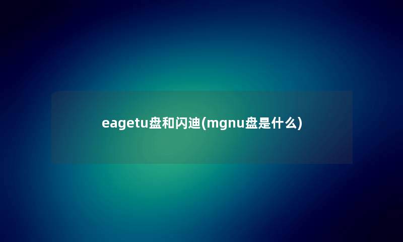 eagetu盘和闪迪(mgnu盘是什么)