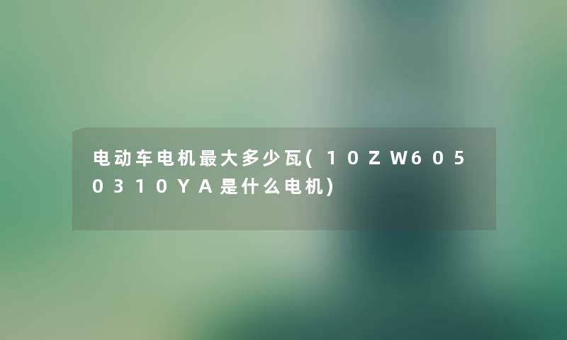 电动车电机大多少瓦(10ZW6050310YA是什么电机)