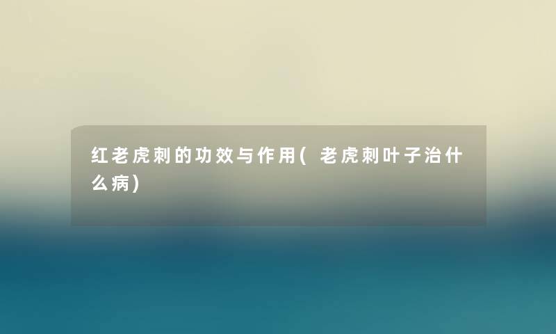 红老虎刺的功效与作用(老虎刺叶子治什么病)