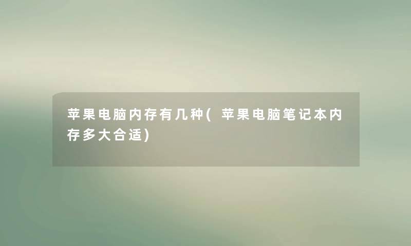 苹果电脑内存有几种(苹果电脑笔记本内存多大合适)