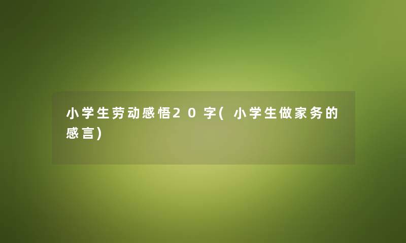 小学生劳动感悟20字(小学生做家务的感言)