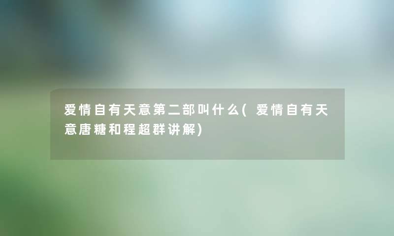 爱情自有天意第二部叫什么(爱情自有天意唐糖和程超群讲解)